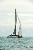 Arethusa