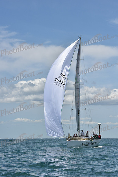 2019 Figawi_1636