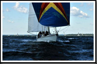 proof_2010_Vineyard_Race_0233