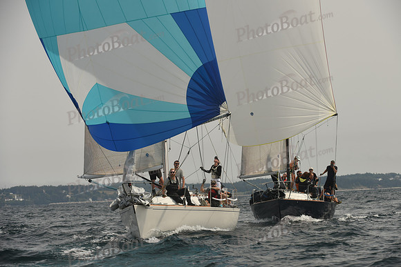 2016 Chester Race Week C_1532