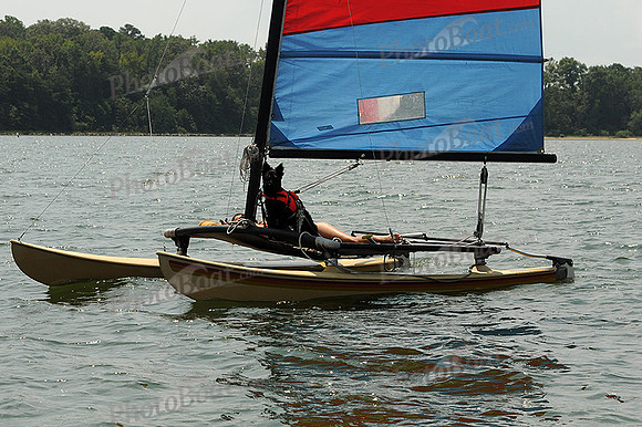 2012 Gov Cup D 282
