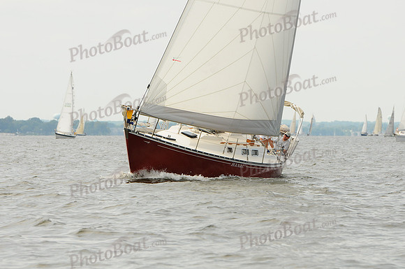 2011 Gov Cup A 556