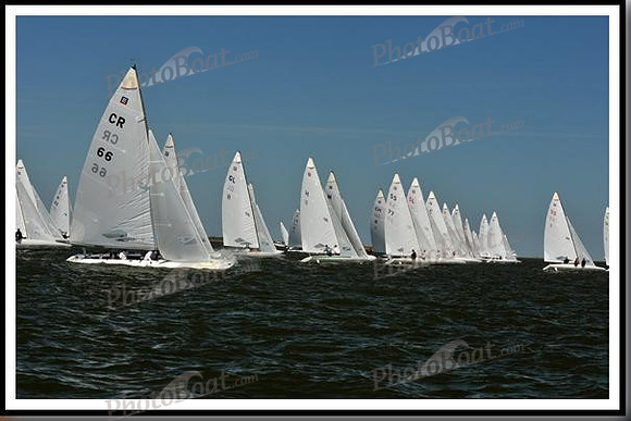 proof_2010_EScows_E 666