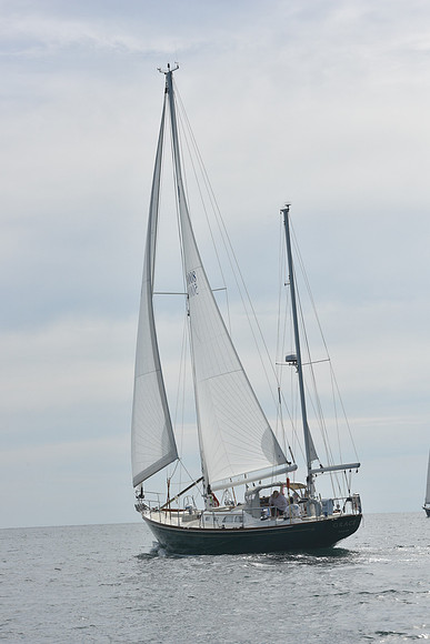 2019 Around Marthas Vineyard A_1193