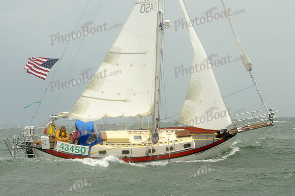 2011 Marion to Bermuda 355