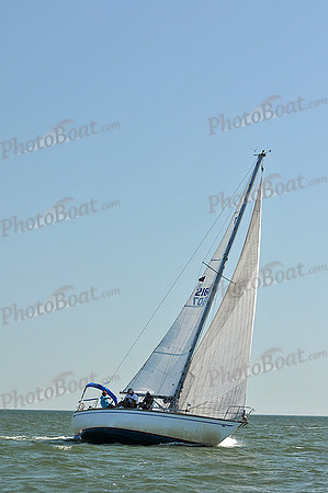 2013 Southern Bay Race Week D 167