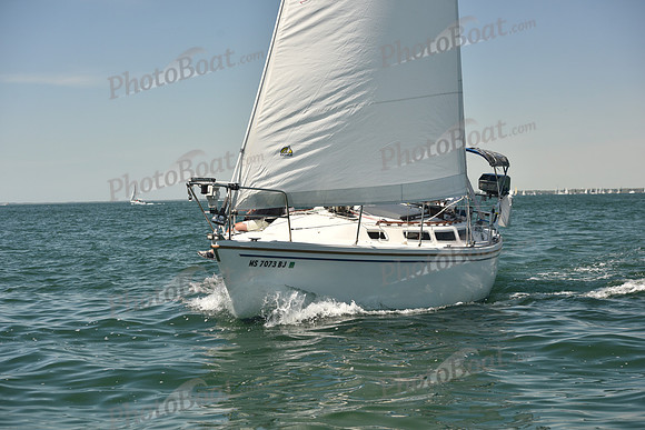2024 Figawi 0137