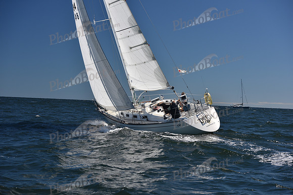 2022 Vineyard Race A_0255