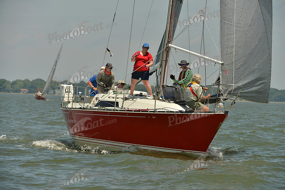 2016 Southern Bay Race Week F_0878