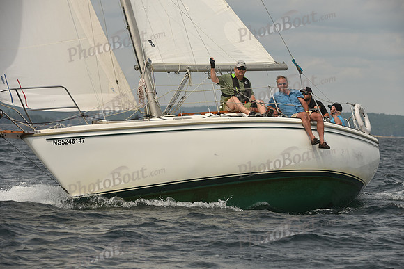 2016 Chester Race Week C_1279