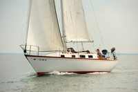 2014 Cape Charles Cup B 528