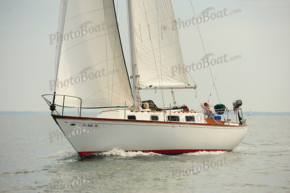 2014 Cape Charles Cup B 528