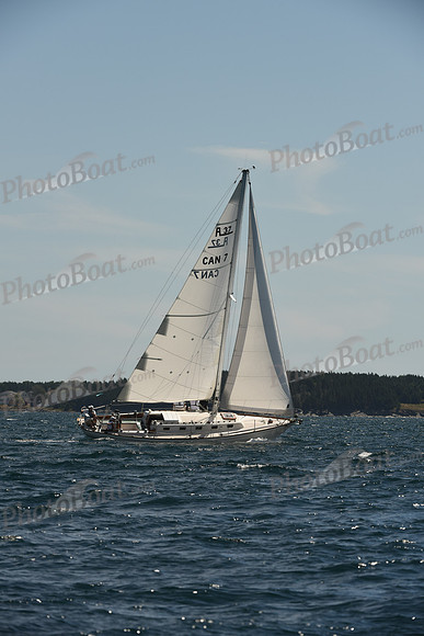 2016 Chester Race Week A_0585