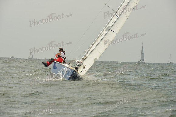 2015 Vineyard Race A 312