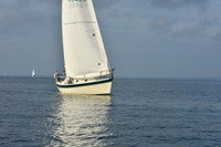 2019 Gov Cup D_0341