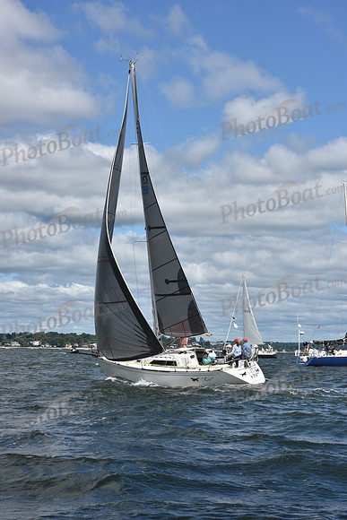 2021 Vineyard Race A 0052