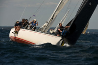2016 Chester Race Week A_1364