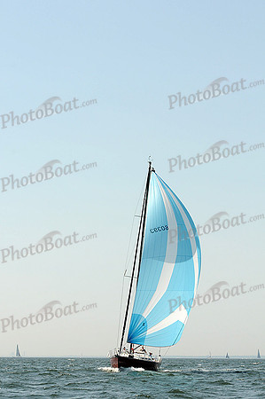 2012 Vineyard Race A 707