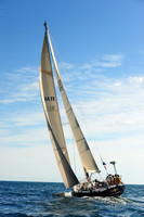 2014 Newport Bermuda A 743