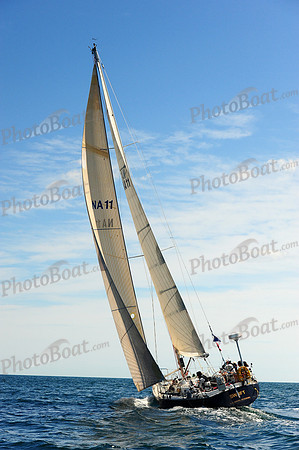2014 Newport Bermuda A 743