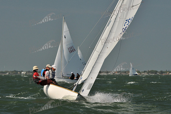 2012 Thistle Midwinters B 709