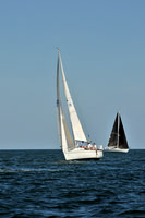 2010 Leukemia Cup B 517