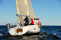 2014 Vineyard Race A 1206