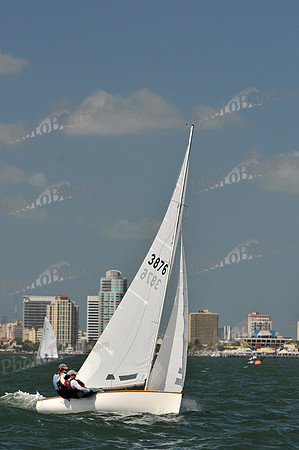 2012 Thistle Midwinters C 462