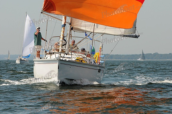 2012 Vineyard Race A 265