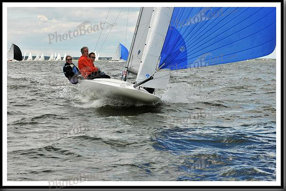 proof_2010_EScows_B 486