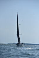 2021 Vineyard Race B 0211