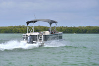 2019 Feb 10 Tampa Bay B_0417