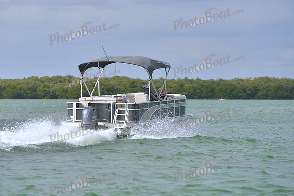 2019 Feb 10 Tampa Bay B_0417
