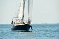 2015 Cape Charles Cup A 100