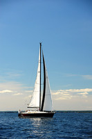 2014 Vineyard Race A 1998