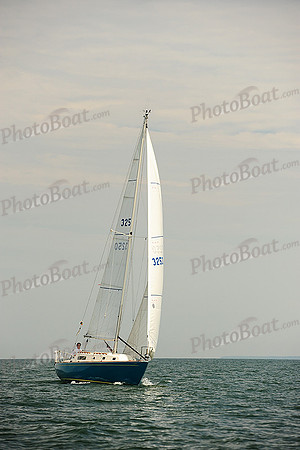 2014 Cape Charles Cup B 703