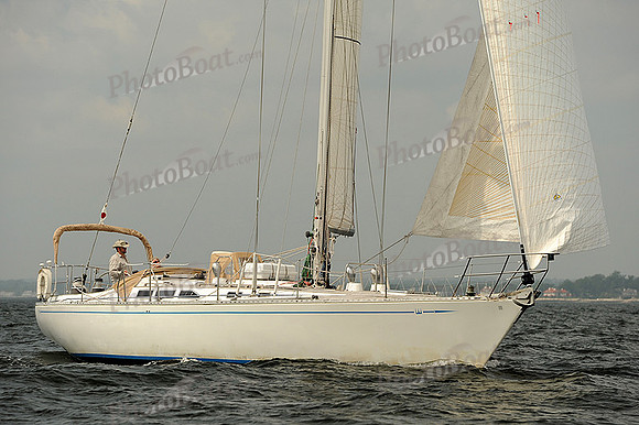 2013 Vineyard Race A 398