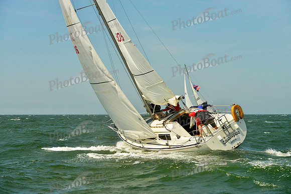2018 Figawi_0196