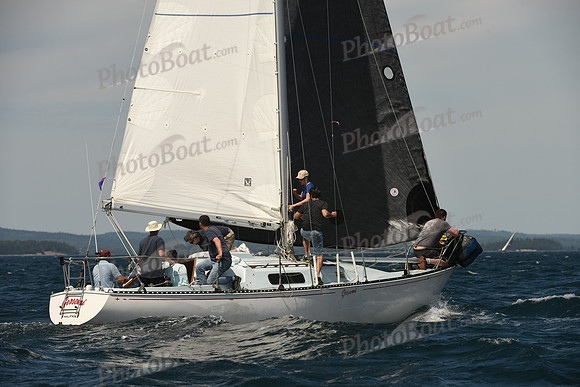 2016 Chester Race Week A_1371