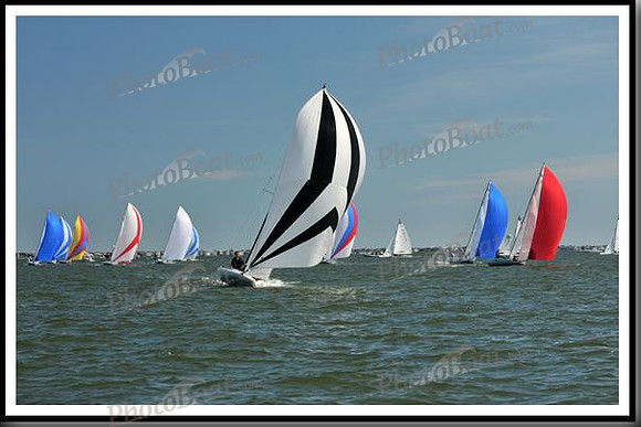 proof_2010_EScows_E 916