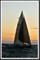 proof_2010_Vineyard_Race_2461