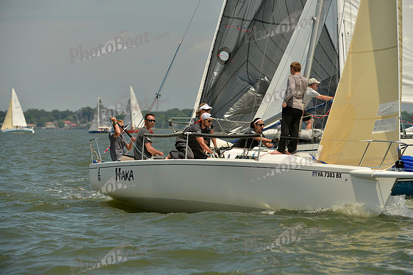 2016 Southern Bay Race Week F_0848
