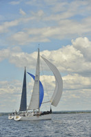 2016 Vineyard Race A_1167