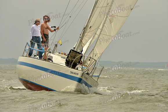 2016 Southern Bay Race Week A_1164
