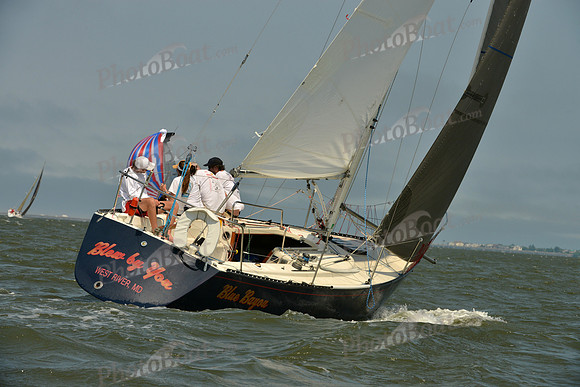 2016 Southern Bay Race Week B_0394