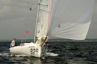 2013 Vineyard Race A 808