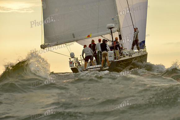 2016 Vineyard Race B_0909