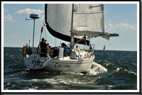 proof_2010_Vineyard_Race_0172