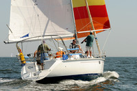 2012 Vineyard Race A 275
