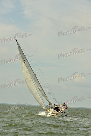 2016 Southern Bay Race Week G_0313